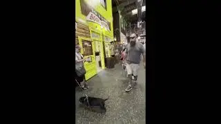 14  Wall Drug in South Dakota 11 Sep 2025