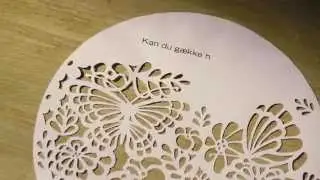 Summerbird Porcel&aelig;ns&aelig;g