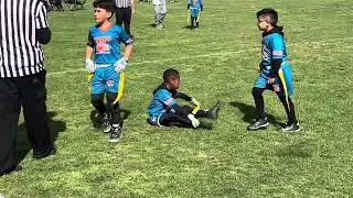 Dolphins vs Jaguars 8u Week 6