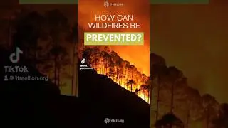 With wildfire season starting, it&rsquo;s important to know what steps to take to protect your forests.