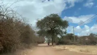 Driving to a Rural Health Centre in Maasai Land &ndash; Elephant Damage Along the Road (POV)