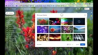 Gmail Themes