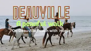A Peaceful walk on Deauville Beach with Horses 🇫🇷| Relaxing Coastal Vibe