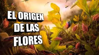 🌺Plantas CON FLORES FÓSILES! #Angiospermas ⚘🌷🌼