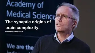 The Developing Brain | Professor Seth Grant FMedSci FRSE