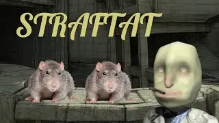 STRAFT RATS