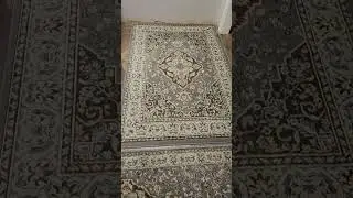 This Area Rug was a Great Find, Hides Dirt - Glendale Superior Elegant Area Rug
