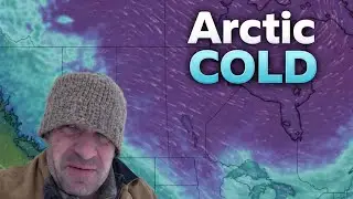 Что делает пчеловод, занимающийся зимовкой пчел в помещении, во время арктических морозов?