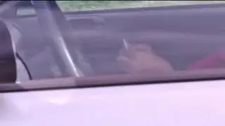 Senate to vote on bill to prevent distracted driving