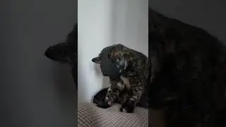 He Accepted His Fate