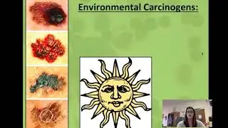 Micro 6: Infectious & Noninfectious Disease