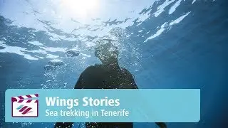 Wings Magazine: Adventure between land and sea // Eurowings