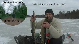 Kevään viimeinen koukkureissu