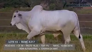 Lote 93 - REM FAX