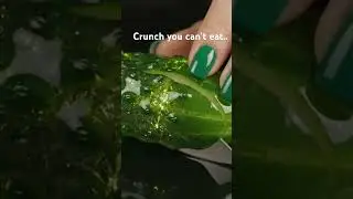 Glass Cucumber Cutting Sounds | ASMR Relaxation