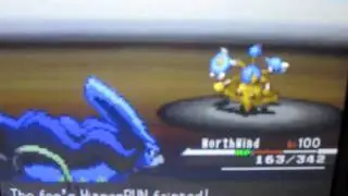 Wi-Fi Battle #32 eeveegirl22 vs. BlakBlastoise