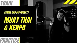 Muay Thai and Kenpo Home Training Sequences 2