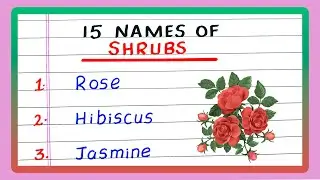 SHRUBS NAME | 15 SHRUB PLANTS NAME
