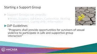 MNCASA Webinar: Support Groups 101: Basics for  Anti-Sexual Violence Advocates
