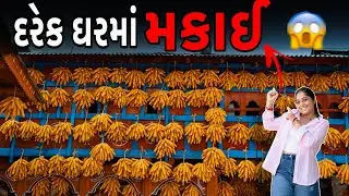 દરેક ઘરની દિવાલ પર મકાઈ લટકાવેલી 🥰 || ￼ the corn village of India ￼|| SAINJI Mussoorie  ❤️￼