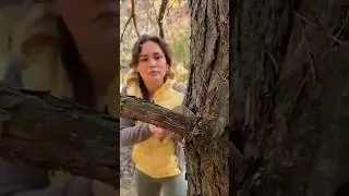 Forest Girl #Marusya#campingchallenge # outdoor activities in forest in winter morning # servival
