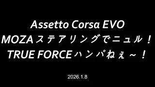 Assetto Corsa EVO - MOZAステアリングでニュル！TRUE FORCEハンパねぇ～！