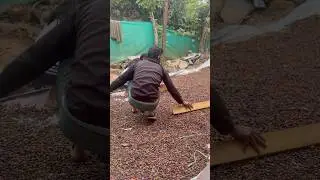 It's raining 😔What are you going to do now? The coffee is dry 😶&zwj;🌫️ #shortsfeed #youtubeshorts #go...