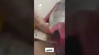 Omani way to make high quality salted tuna. 🥰  Must watch