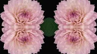Joel Goodman - An Exquisite Moment (What Dreamers Dream)