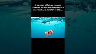 Мытищность #мытищи #япомылся #приветартур #мелстрой #кислость #фог #ч #друн #мем