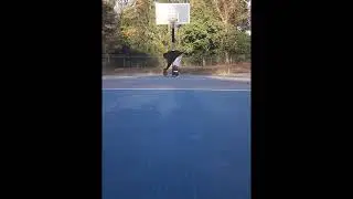 Brandon Evans Basketball