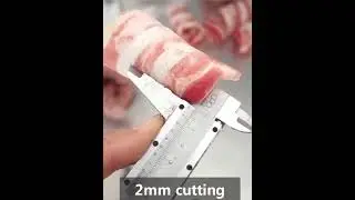 FQP-380 Машина для нарезки мяса и рыбы ломтиками