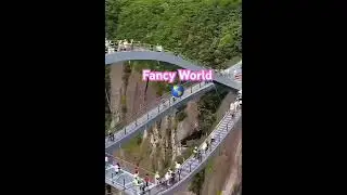 Fancy World 🌎