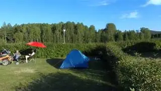 Sveg