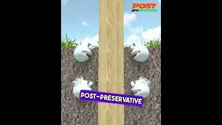 Post Proservative: Maintain chemical preservative levels needed to stop decay!🤯