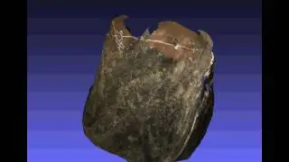 mine face