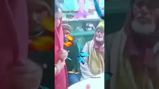 আমার বিয়ের ভিডিও... #viral #foryou #bridal #bride #youtubeshorts #shorts #বিয়ে #love #music