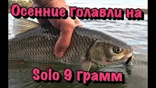 Осенние голавли на лайт блесну Solo 9 грамм