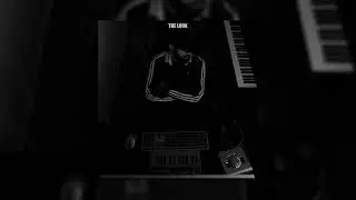 Vimen - The Look