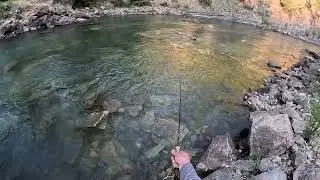 Fly Fishing The Dry Dropper