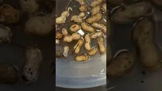 Washing peanuts I harvested from my garden 🥜