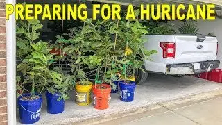 Preparing Your Garden For A Hurricane: Prep Before Hurricane Dorian
