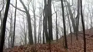 Hiking in Charleston