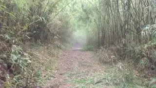 HILLEY -BARSEY TREK ROUTE