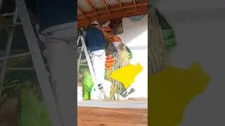 Mushroom Hour Mural