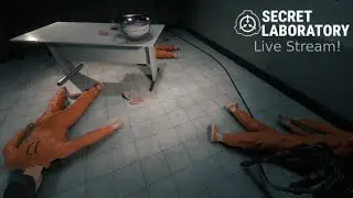 Die, respawn, die, and repeat | SCP: Secret Laboratory + Cat Cam