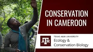 Ecology and Conservation Biology in Africa
