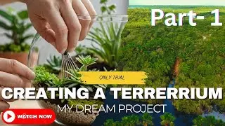 Create a Stunning MINI Terrarium | Part 1