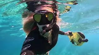 This was our most epic dive day in a YEAR! (Freediving Oahu, HI)