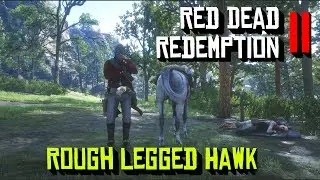 Red Dead Redemption 2 Rough Legged Hawk Location